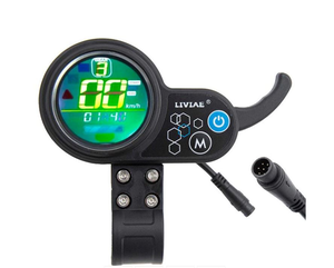 Display Liviae 6 pini